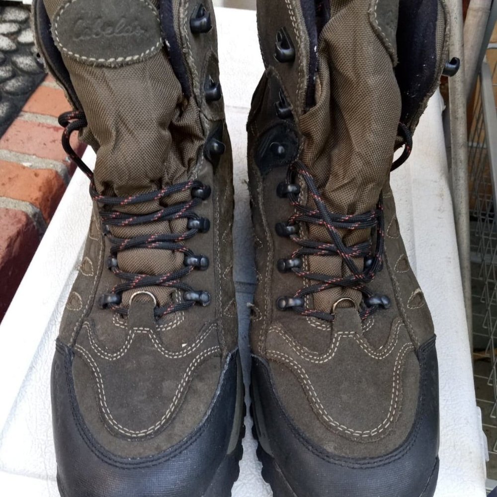 Cabela's Mens Boots